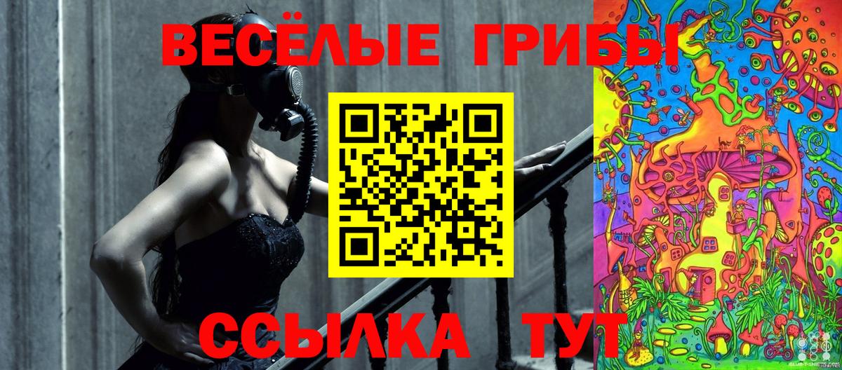 Псилоцибиновые грибы мицелий  Вход с VPN  Калуга 